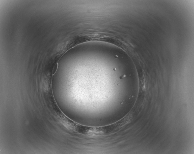 X0000080190515200612081431