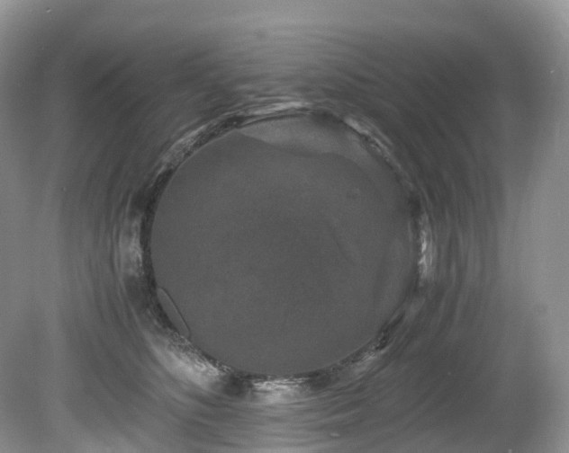 X0000080190516200612081431