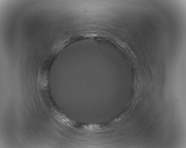 X0000080190517200612081431