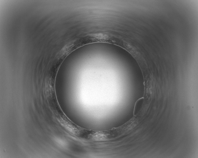 X0000080190518200612081431