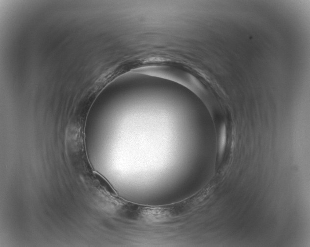 X0000080190521200612081430