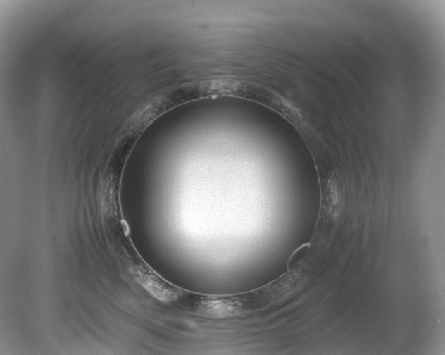 X0000080190522200612081430