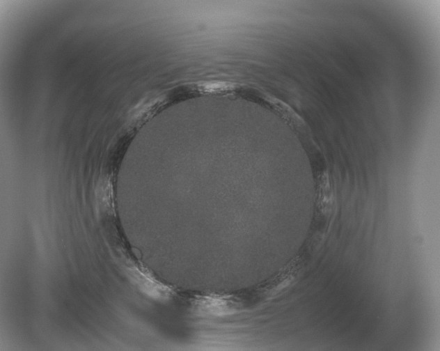 X0000080190523200612081430