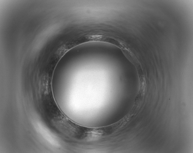 X0000080190525200612081430