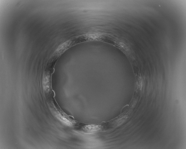 X0000080190526200612081430