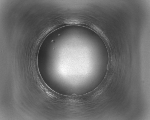 X0000080190529200612081430