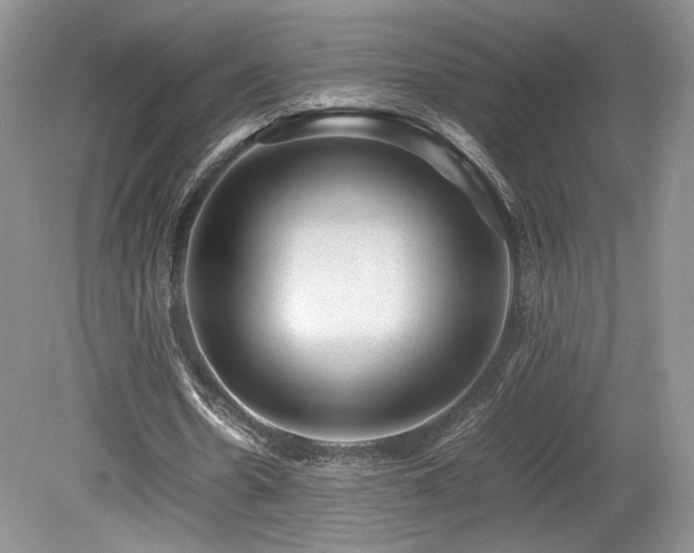 X0000080190530200612081430