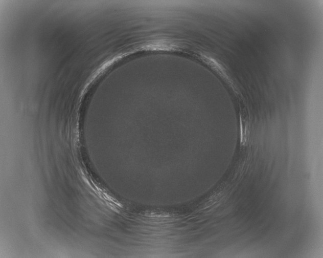 X0000080190531200612081430