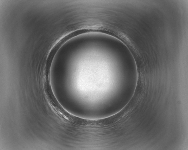 X0000080190532200612081430