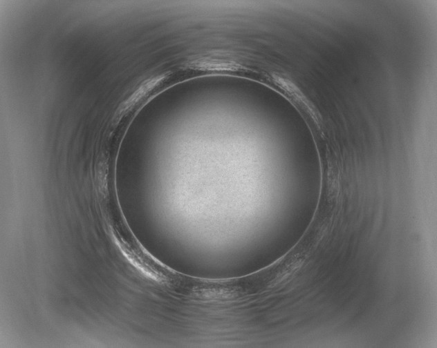 X0000080190533200612081430