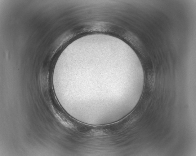 X0000080190534200612081430