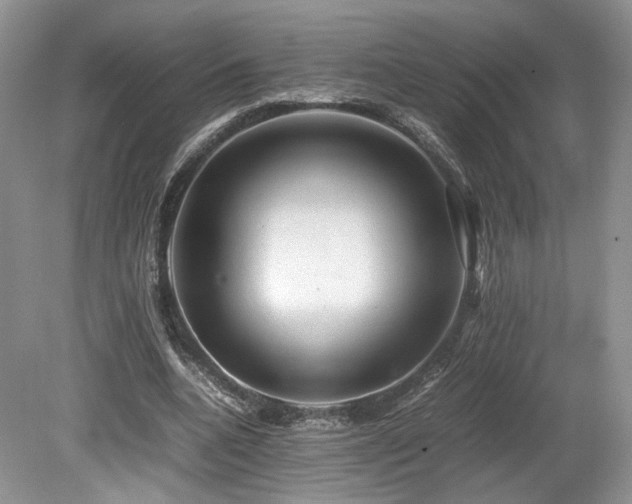 X0000080190536200612081430
