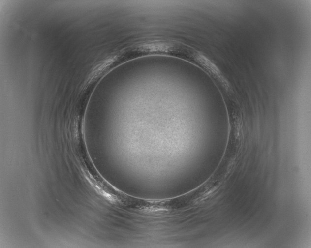 X0000080190537200612081430