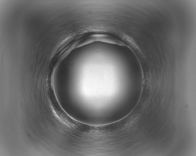 X0000080190538200612081430