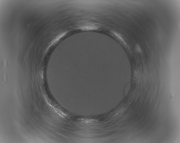 X0000080190539200612081430