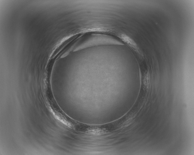 X0000080190540200612081430