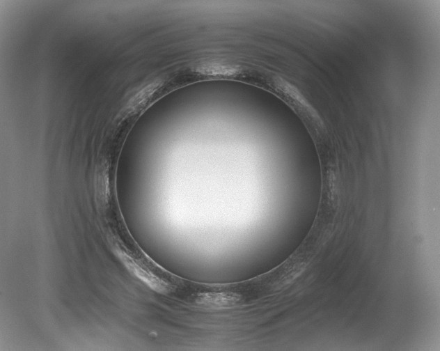 X0000080190541200612081430