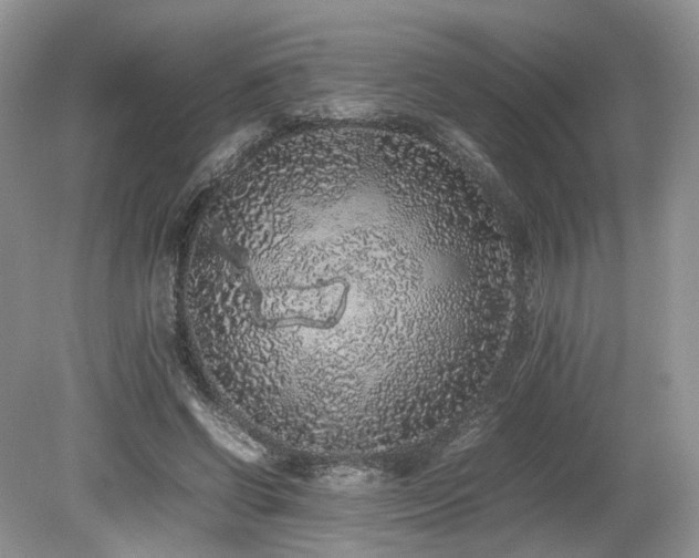 X0000080190542200612081430