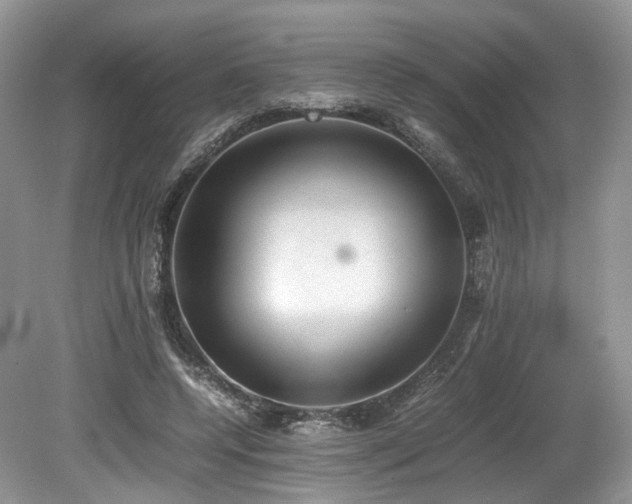 X0000080190544200612081430