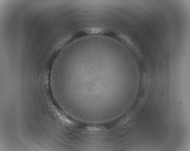 X0000080190545200612081430