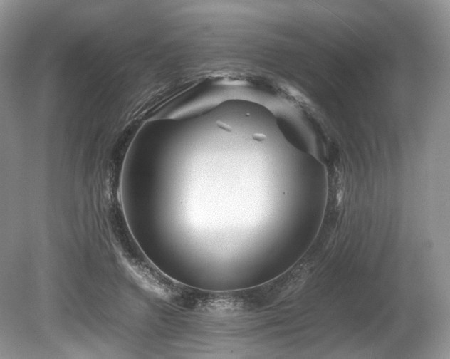 X0000080190546200612081430