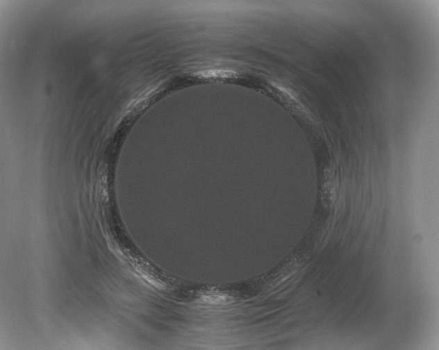 X0000080190547200612081430