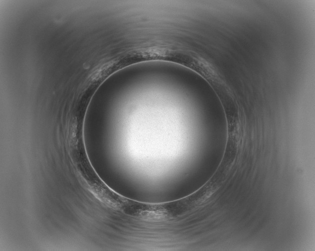 X0000080190548200612081430