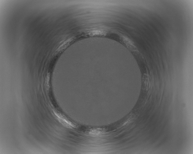 X0000080190550200612081430