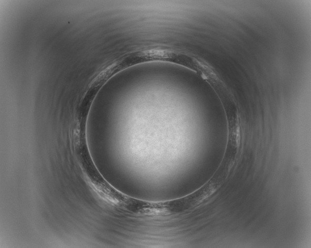 X0000080190552200612081430