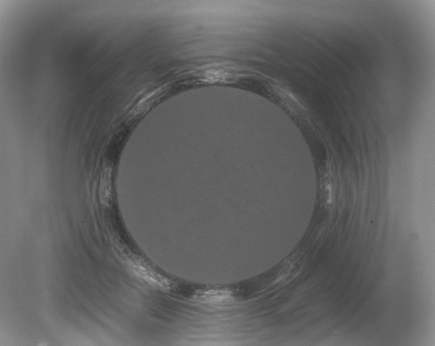 X0000080190554200612081430