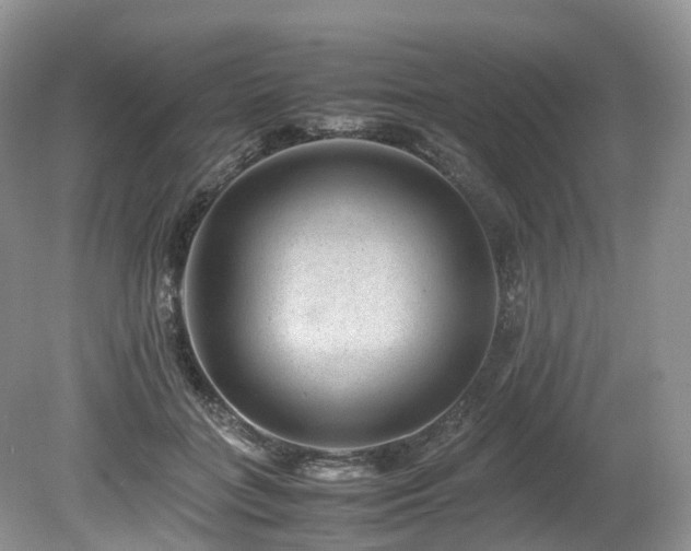 X0000080190555200612081430