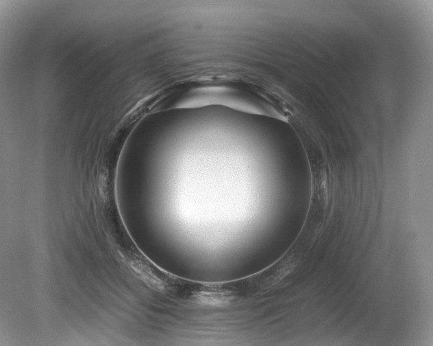 X0000080190556200612081430