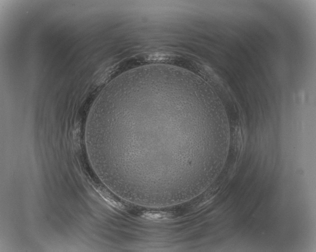 X0000080190557200612081430