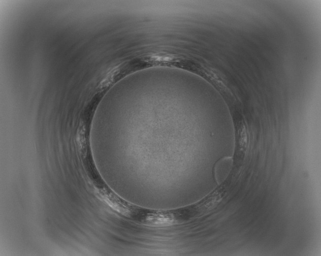 X0000080190559200612081430