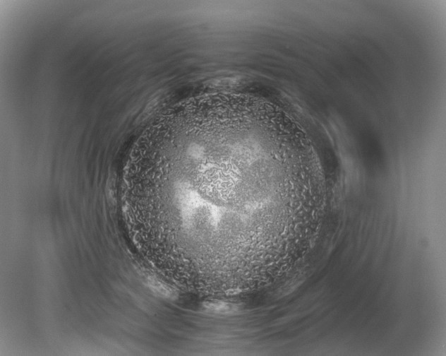 X0000080190561200612081430
