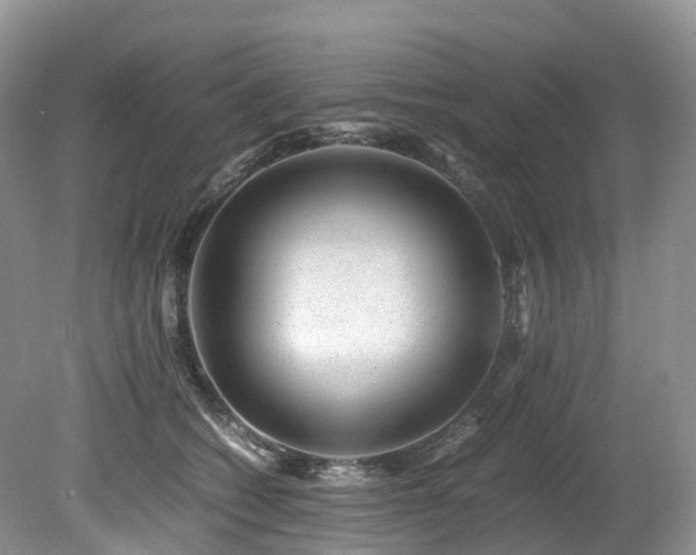 X0000080190562200612081430