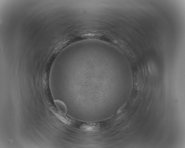 X0000080190563200612081430