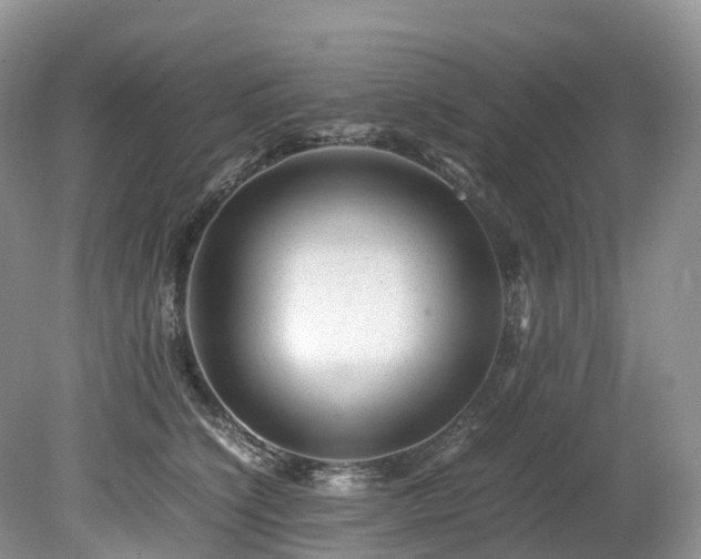 X0000080190564200612081430