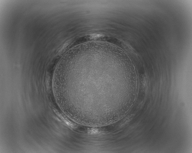 X0000080190565200612081430