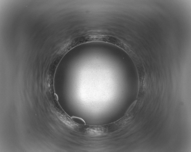 X0000080190567200612081430