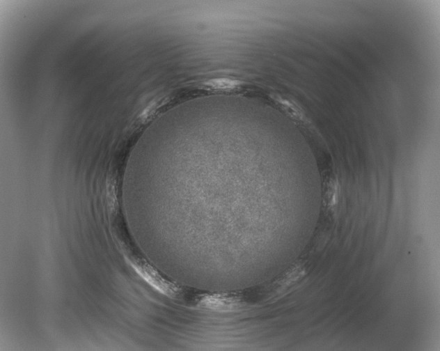 X0000080190568200612081430