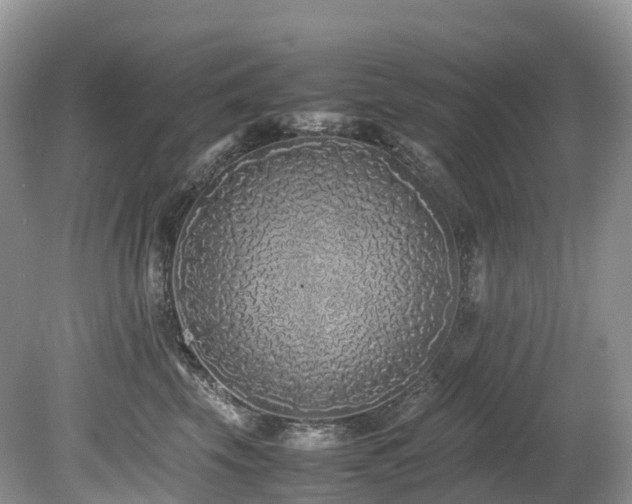 X0000080190569200612081430