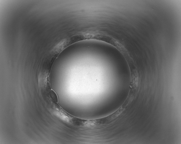 X0000080190574200612081430