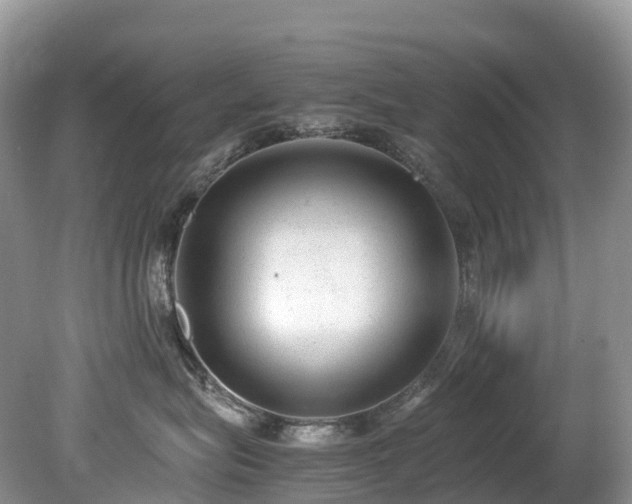 X0000080190575200612081430