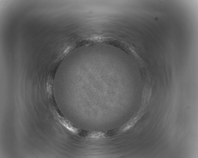 X0000080190576200612081430