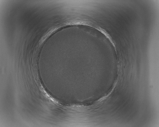 X0000080190577200612081430
