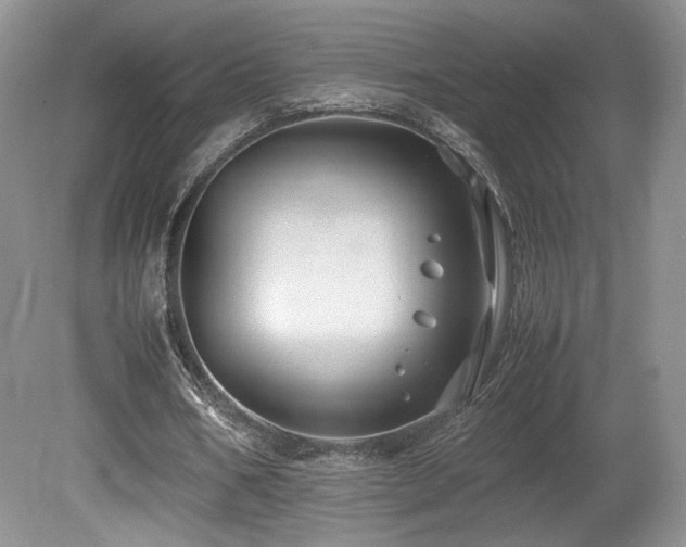 X0000080190578200612081429
