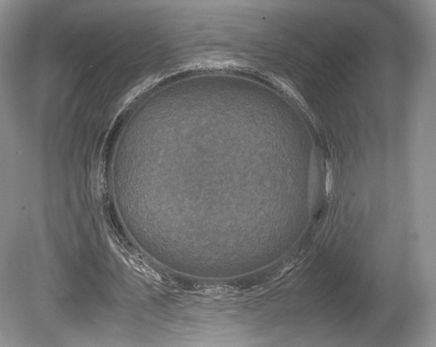 X0000080190579200612081429