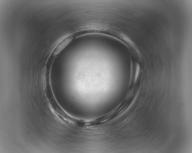 X0000080190580200612081429