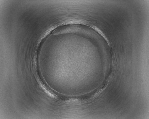 X0000080190581200612081429